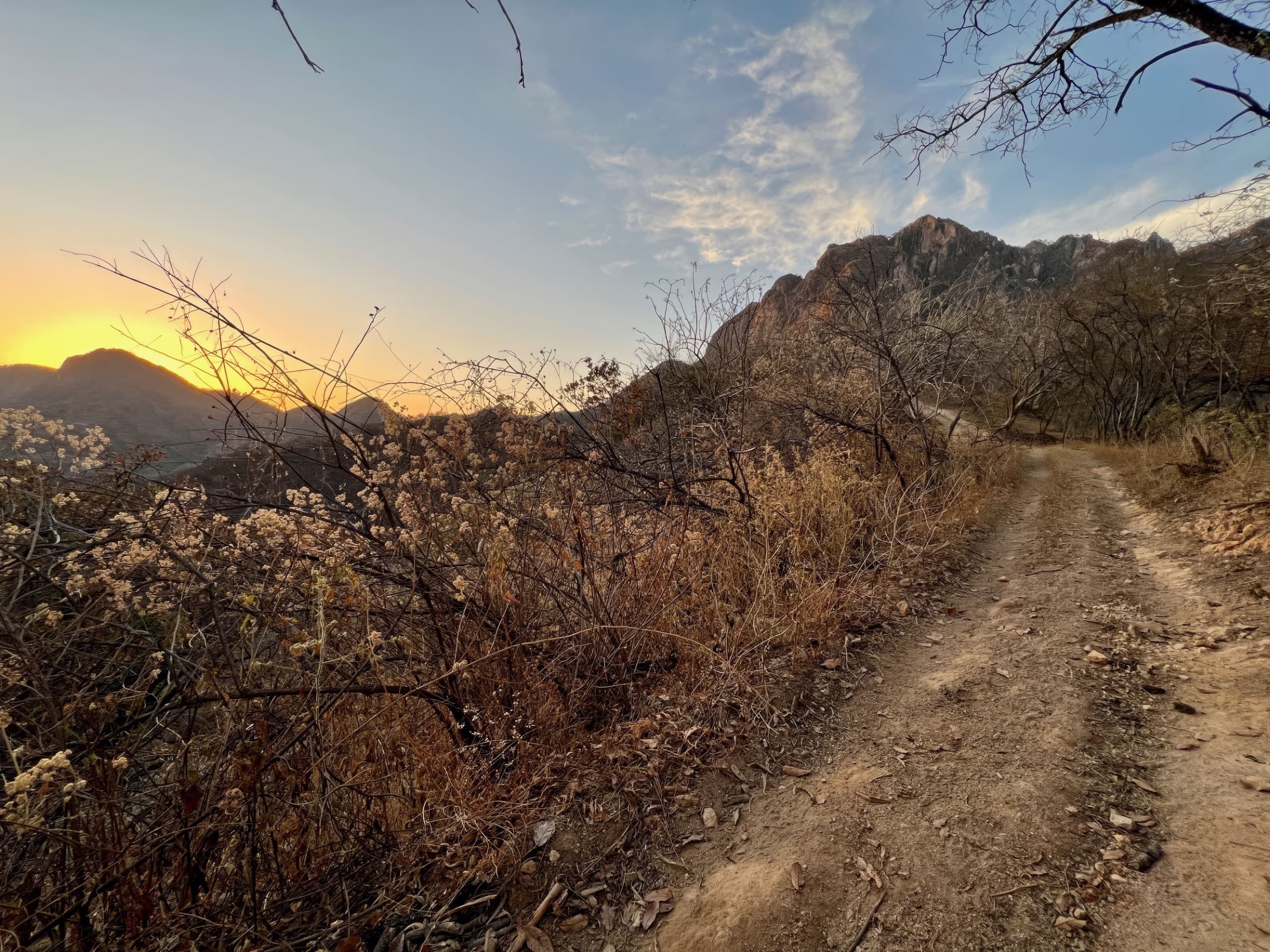 Golden-hour trail toward the Copalquin peak, Sierra Madre Occidental